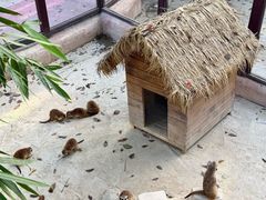 -呀诺达热带雨林