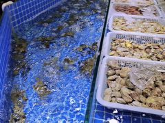 -锤头鲨毛肚海鲜烤肉自助餐厅(国购广场店)