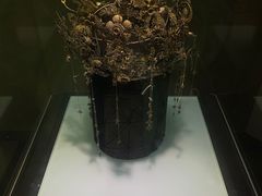 -镇江博物馆