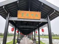 -陶辛水韵