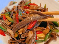 -巴依老爷新疆美食(常营店)