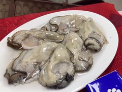 -花苑美食横琴生蚝火锅(拱北粤华路店)