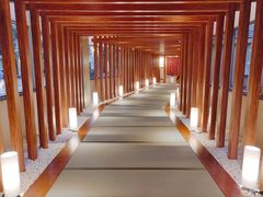 -重庆南山海昌汤都