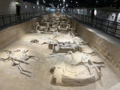 -洛阳周王城天子驾六博物馆