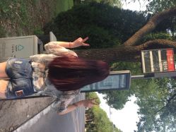 小左美发(五角场店)-小左沙龙