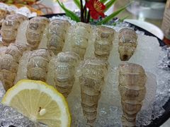 罗氏虾虾生-嘉升大排档(番禺总店)