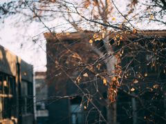 -腾爱熊猫咖啡生活馆(老东门店)