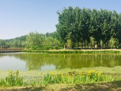 -东郊湿地公园