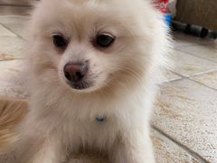 -零几体验diy皮具工作室(振业城店)