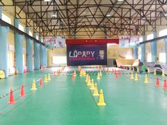 -长春乐奇平衡车儿童体能运动中心