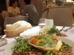 -蝶舍·MAISON PAPILLON