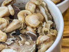 -广达眼镜炖罐(广达店)