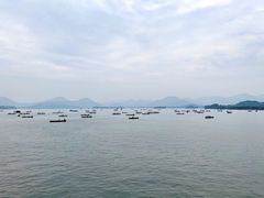 -西湖游船