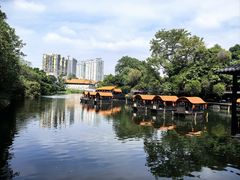 -侨美·唐荔园·40年地道粤菜