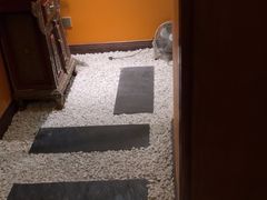 -泰谷玲抓龙筋SPA·泰式按摩(五一广场店)