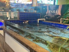 -黄泥岗·黄陂农家菜(百步亭店)