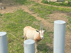 -上方山森林动物世界