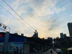 -广西大学(大学东路校区)