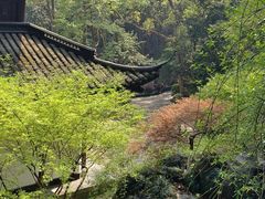 -虎跑公园