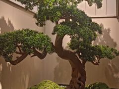 -鹤祥宫·影院足道·SPA连锁(苹果园店)