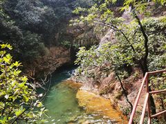 -南海湾森林生态园