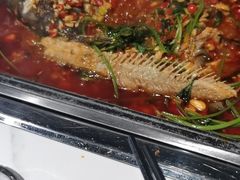 -黑猫馋纸包鱼(阳光店)