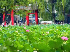 -四川大学(望江校区)