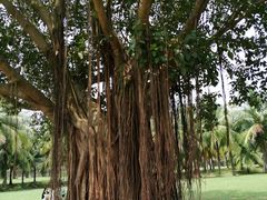 -白沙门生态公园