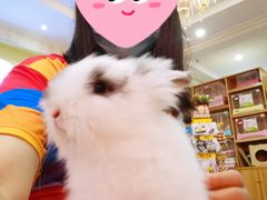-宠物兔专门店(天丰利市场店)