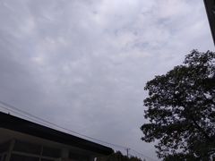 -随柳居·苏式小吃(建新巷店)