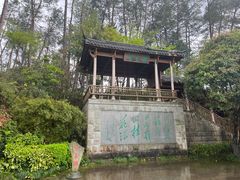 -千岛湖东南湖区