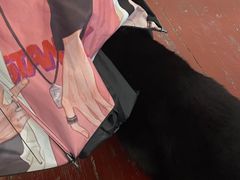 -春风十里咖啡馆