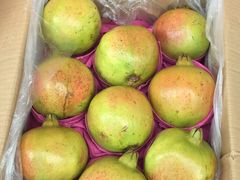 -东方鼎信农副产品交易中心