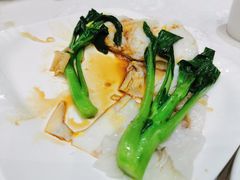 -鹅城