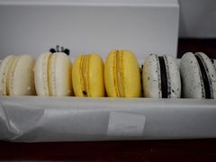 -BLACKSWAN黑天鹅(环球店)