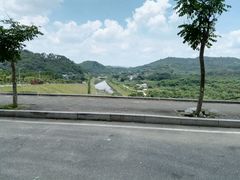 -清溪森林公园