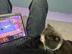 -1013 PET SHOP 宠物商店(近铁城市广场店)