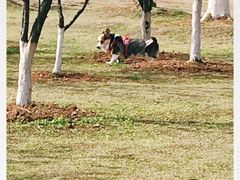 -钟山体育运动公园