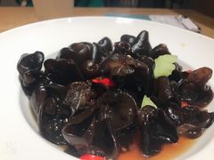 -九毛九西北菜(大东海店)