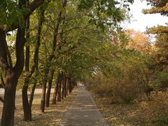 -国家植物园南园