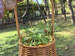 -国家植物园南园