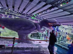 -宁波冰雪大世界(北仑区)