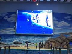 -福州罗源湾海洋世界旅游区