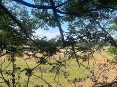 -北京麋鹿生态实验中心