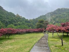 -五泄景区