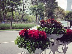 -超级猩猩健身·团课(高新园大冲商务中心二店)