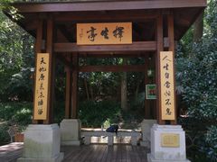 -灵谷景区