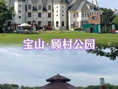 -顾村公园