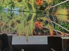 -大头椰·椰子鸡火锅(南宁万象城店)