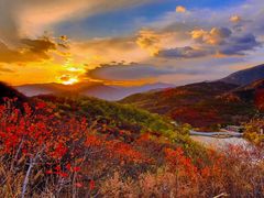 -北京西山国家森林公园